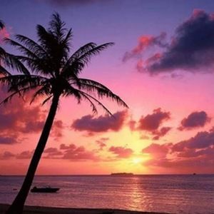 Meet your Posher, Maci